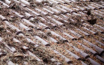 Frettenham roof cleaning companies