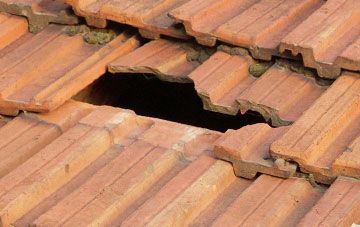 roof repair Frettenham, Norfolk